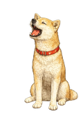 INAKA VIBES mascot