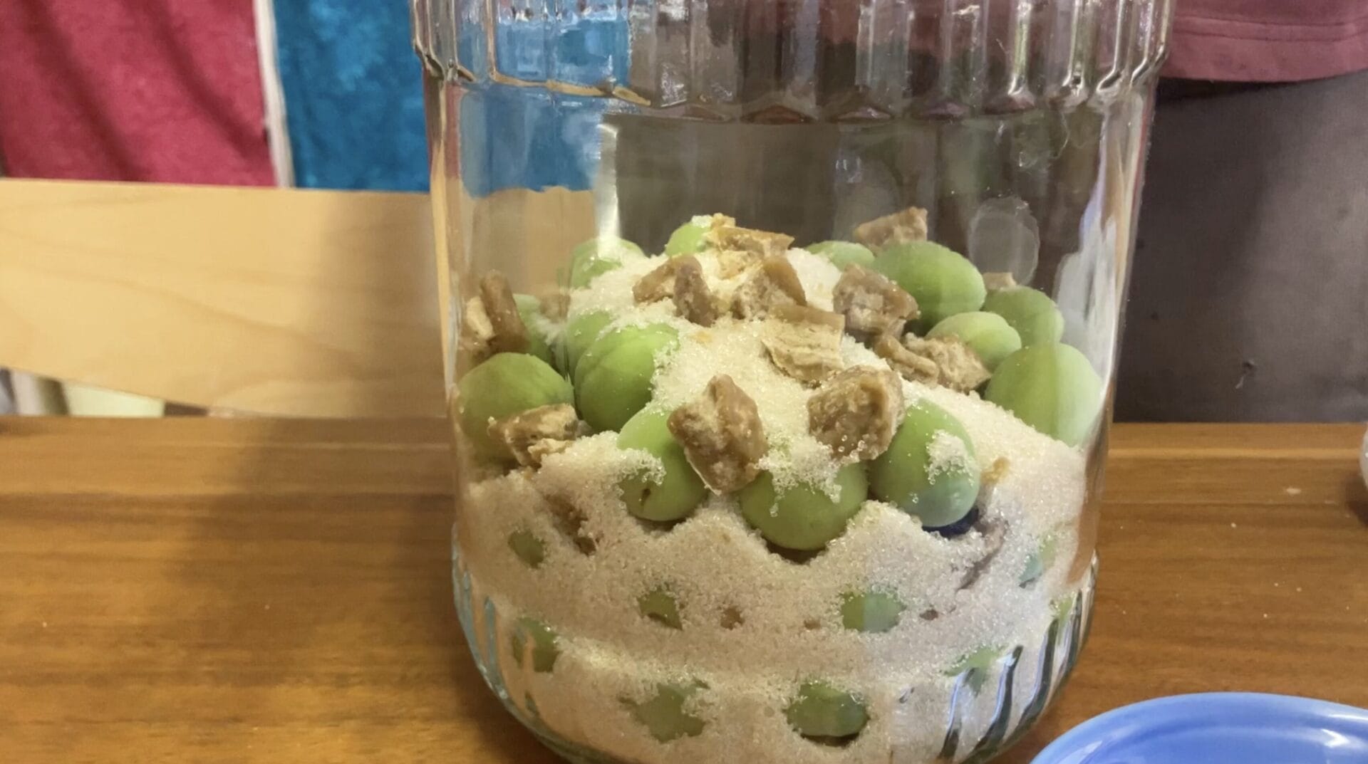 making umeshu at home