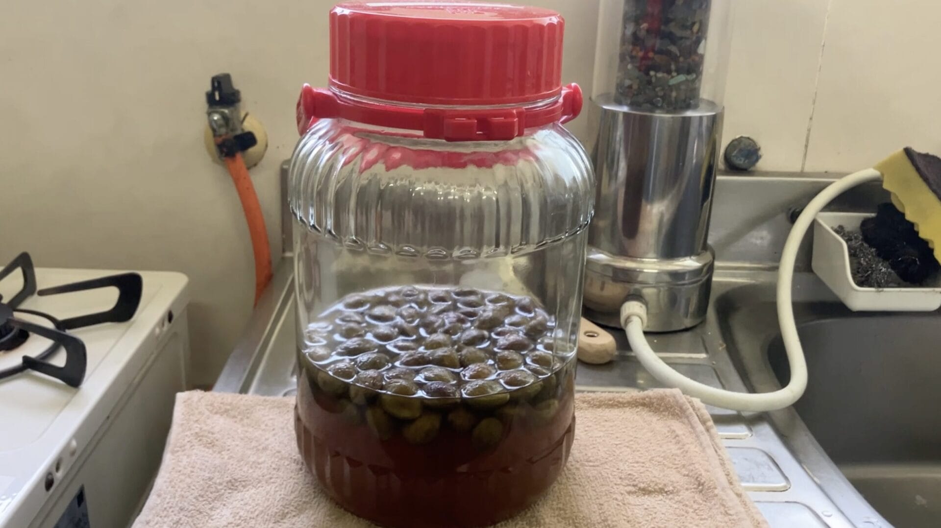 making umeshu at home