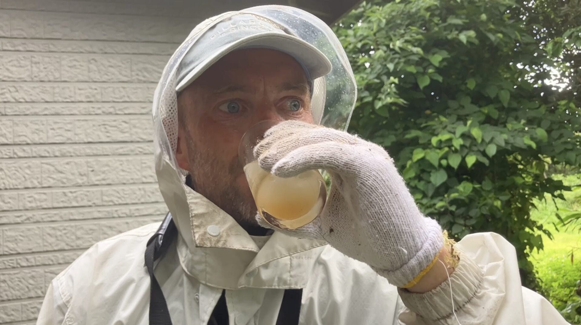 making umeshu at home