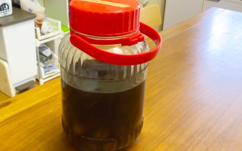 How to Make Umeshu | Japanese Plum Liqueur Recipe From Rural Japan