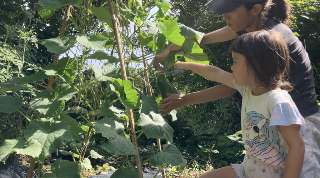 Picking vegetables together