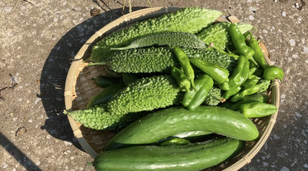 Natural Farming Without Fertilizer
