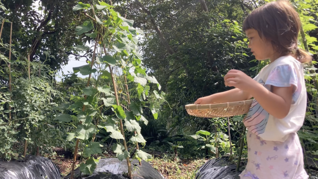 Natural Farming Without Fertilizer | Our Life in Rural Japan
